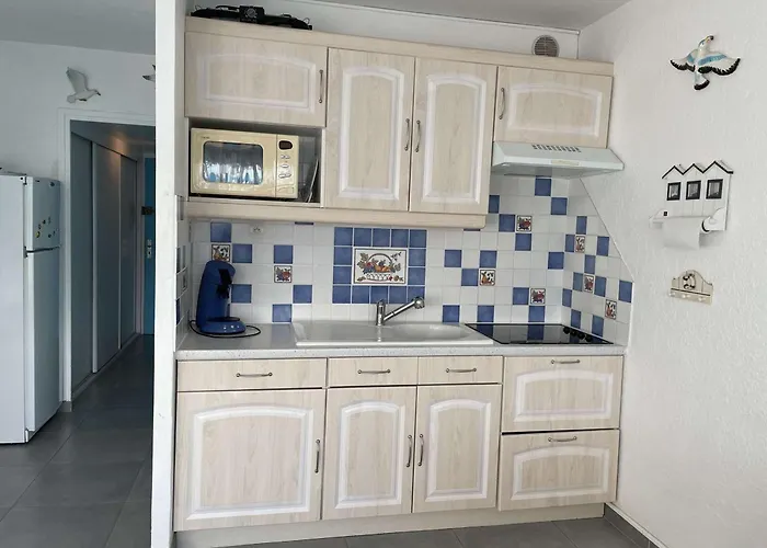 Climatise Avec Piscine, Proche - Fr-1-250-46 Apartamento