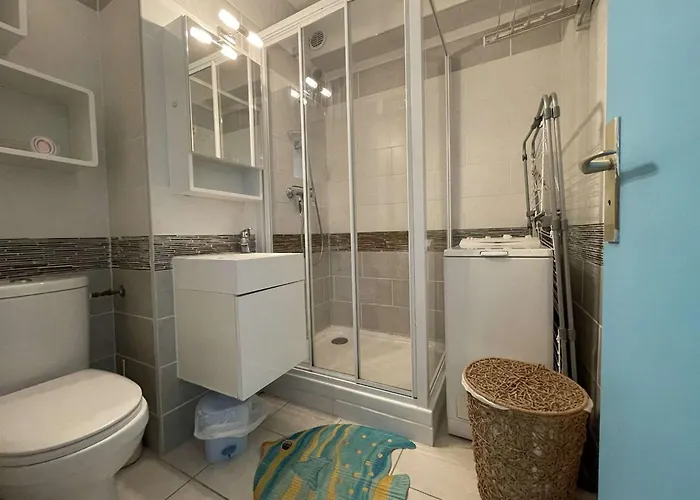 Lägenhet Climatise Avec Piscine, Proche - Fr-1-250-46 Le Grau-du-Roi